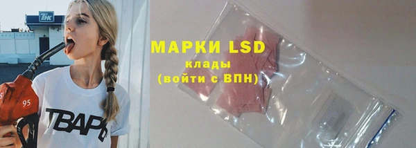 ПСИЛОЦИБИНОВЫЕ ГРИБЫ Алзамай