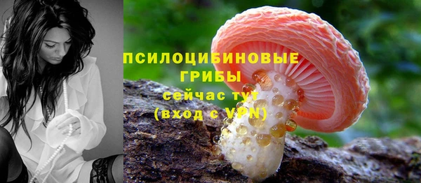ПСИЛОЦИБИНОВЫЕ ГРИБЫ Алзамай