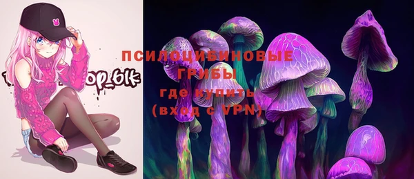 ПСИЛОЦИБИНОВЫЕ ГРИБЫ Алзамай