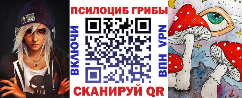 Галлюциногенные грибы Psilocybe  Ставрополь 