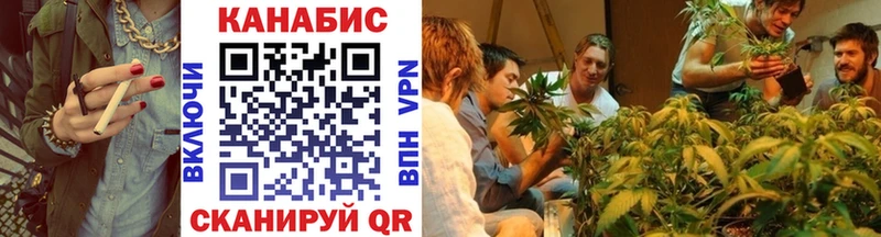 где можно купить наркотик  Ставрополь  Шишки марихуана SATIVA & INDICA 